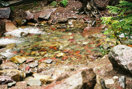 [The shallow water contains many round red rocks amid the brown and grey ones.]